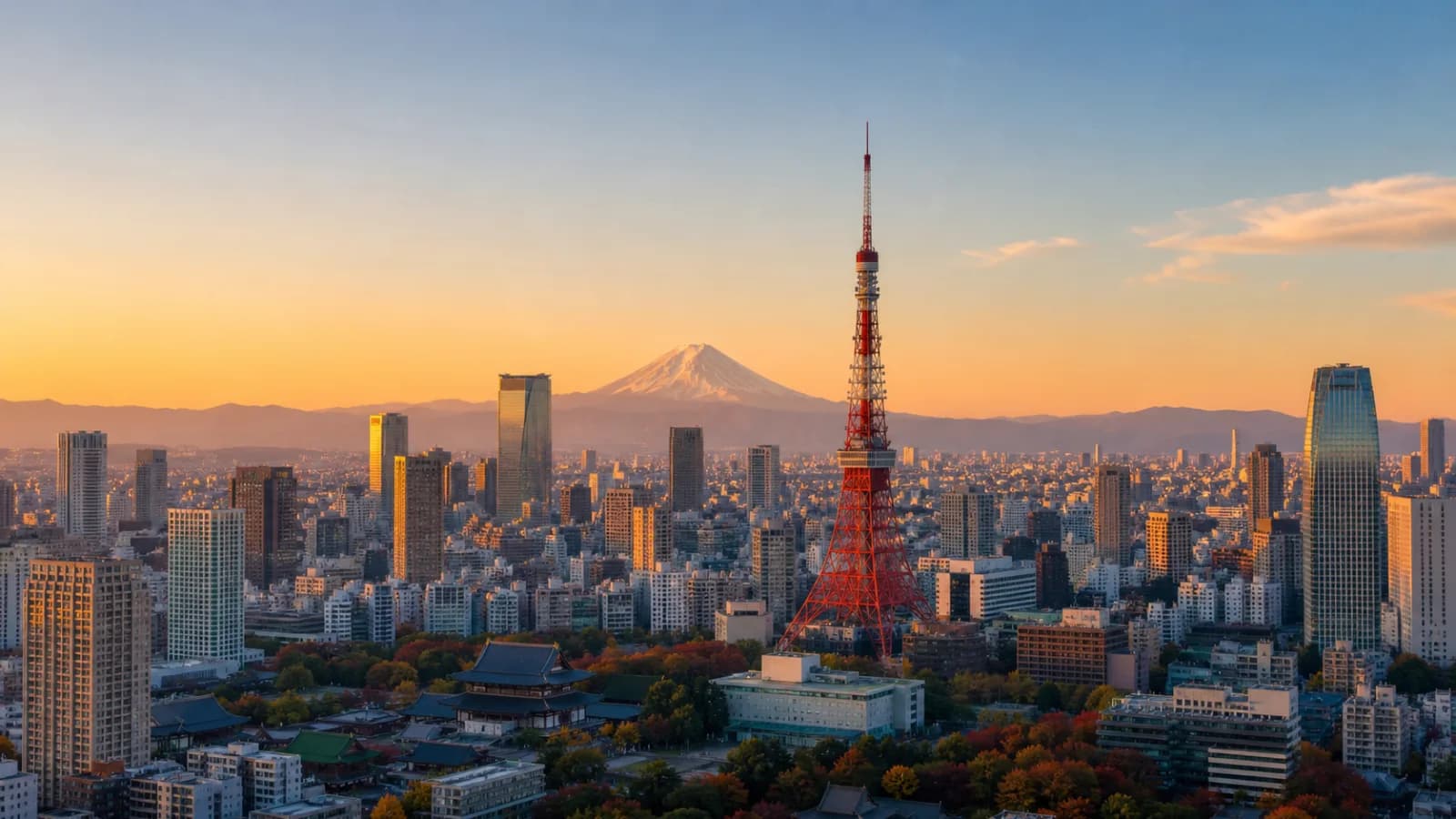 Tokyo at golden hour - ANA Business Class destination